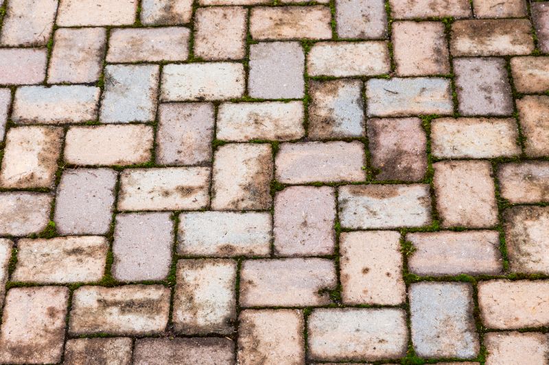 Brick Flatwork Repair in Nokomis, FL