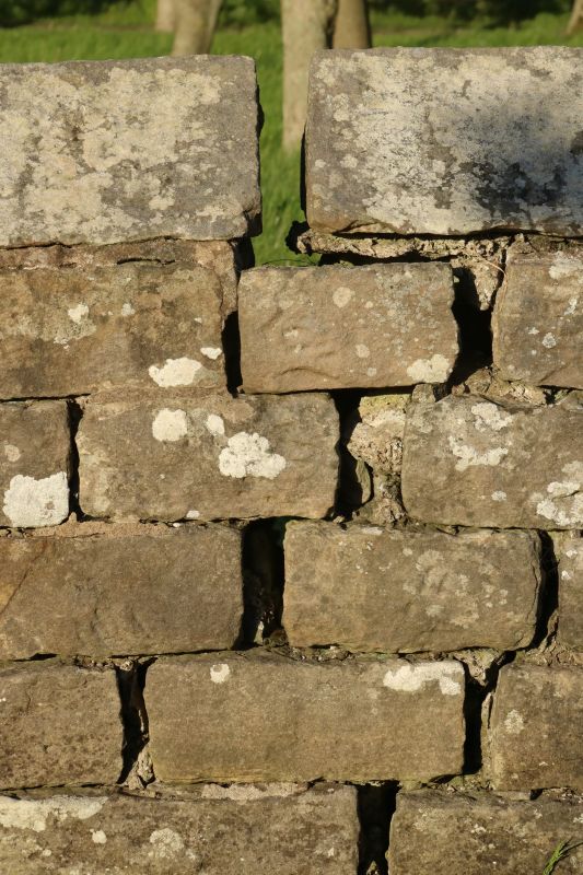 Stone Column Repair in Venice, FL